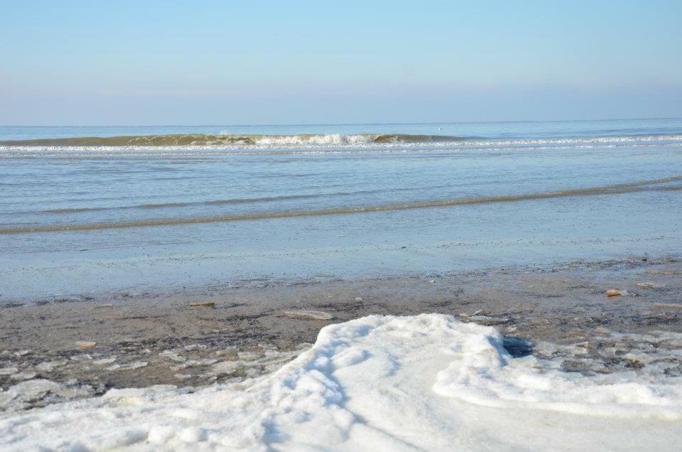 نوردفيك Pension 'T Hofje 350 Meter Van Het Strand المظهر الخارجي الصورة